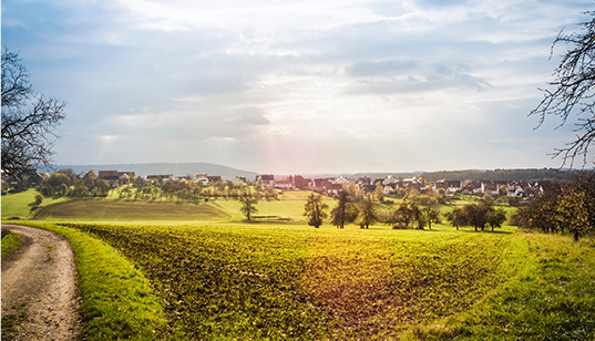 創(chuàng)收創(chuàng)富，產(chǎn)業(yè)扶貧